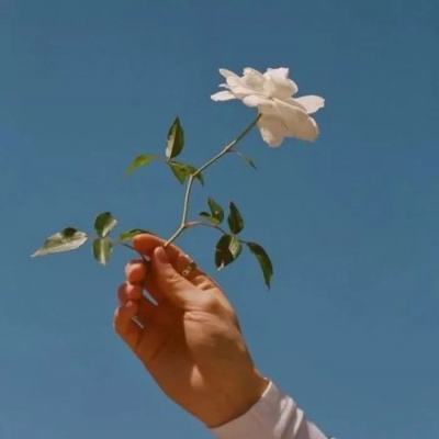 天下无双2手游