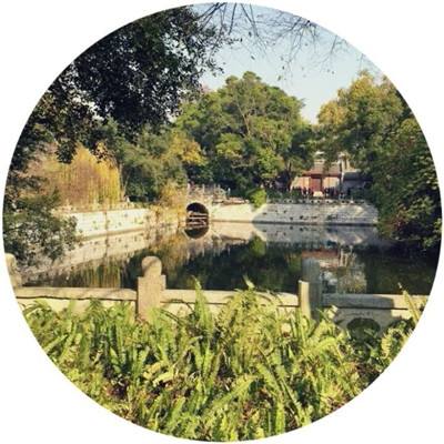 马青：妇产科医生因网暴坠楼，谁在逼她以命正名